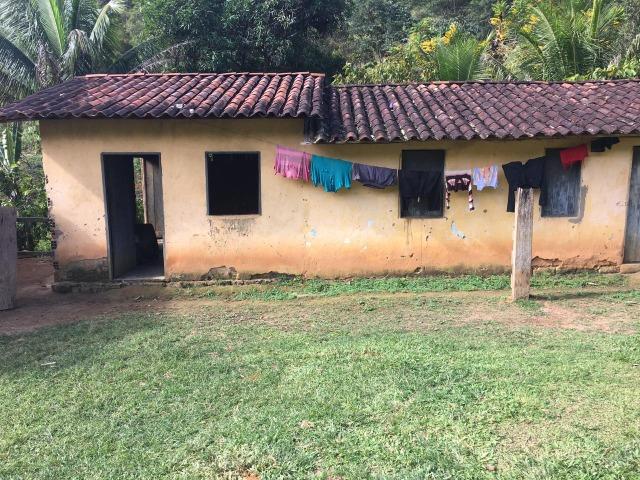 Fazenda cacau e gado - porteira fechada - Foto 4