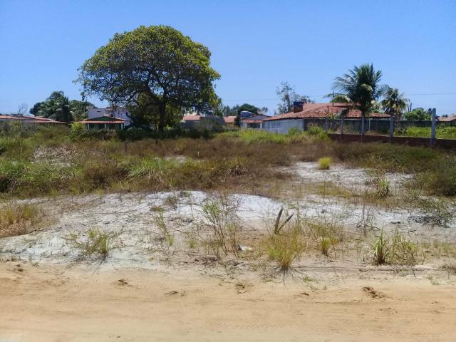 Terreno - Foto 6