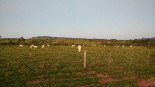 Fazenda Guiratinga MT 6.080 Ha - Foto 3