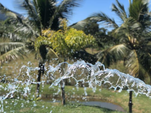 Sítio Guarapari com 7,2 hectares água de nascente - Foto 3