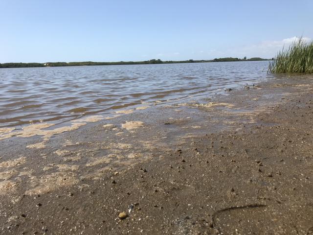 Terrenos ou sobrado em Barra Velha Itapocu lote - Foto 7