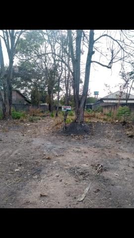 Lote em Aruanã. aceito carro na negociação - Foto 2