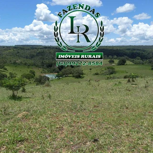 Fazenda 104 Alqueires Beirada Asfalto - Foto 4