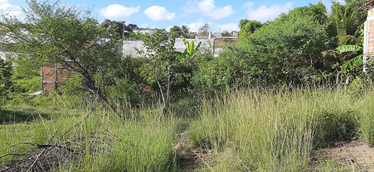 Terreno com área verde em ótima localização - Foto 2