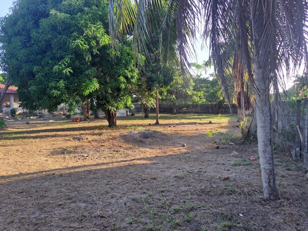 Sitio com Terreno de 6.446m² - Foto 4