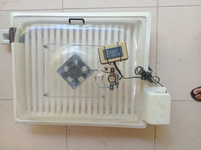 Chocadeira para 90 ovos em acrílico, controle de temperatura eletrônico e giro automático  - Foto 2