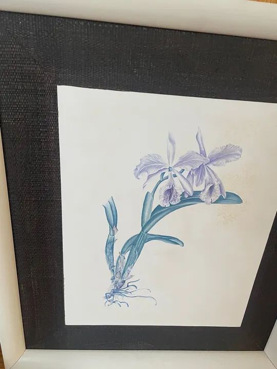 Quadro com Flor de Orquídea