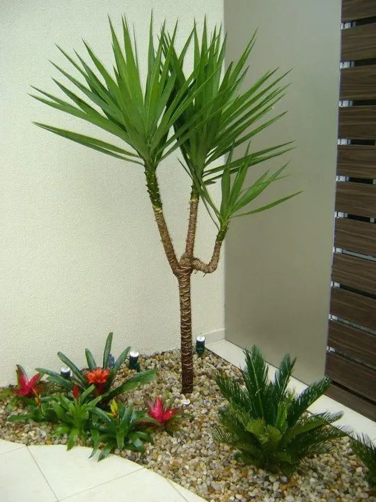 Jardinagem e paisagismo  - Foto 3