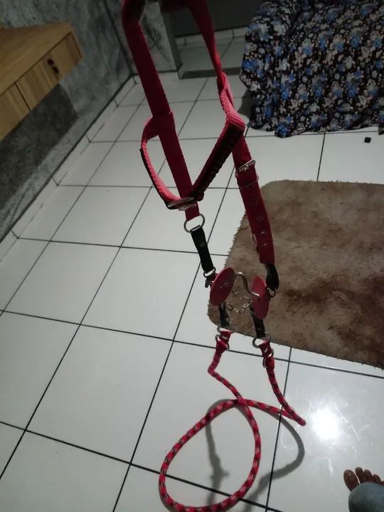 Freio para Cavalo - Novo - Foto 2