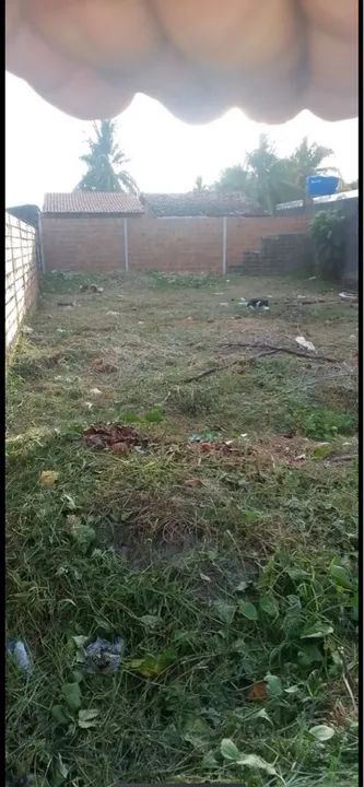 VENDO Terreno no bosque da Massagueira  - Foto 3