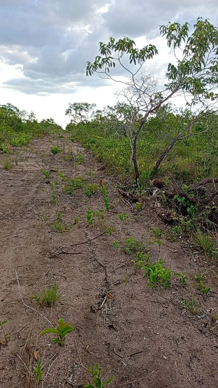 Propriedade dupla aptidão de 2.653 hectares a 5 mil o hectares