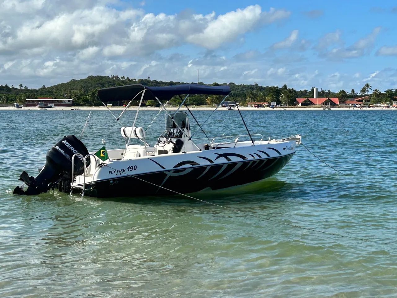 Lancha Flyfish 190 Brasboats - Completa, Revisada e Pronta para Navegar! Aceito Troca  - Foto 4