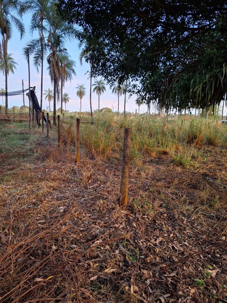 Fazenda no prata 3 milhões  - Foto 5