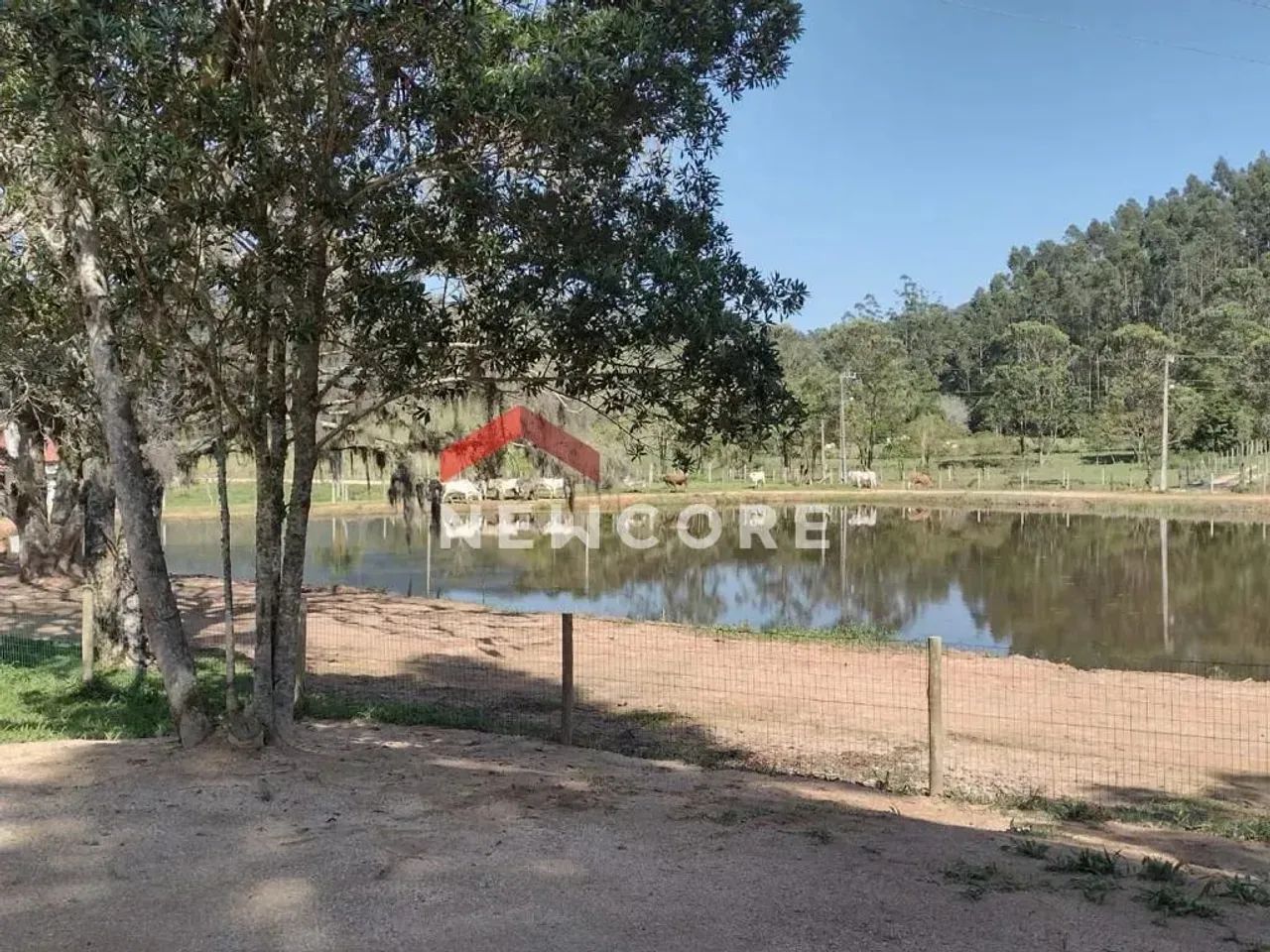 Sítio em IMA-310 - Vargem do Rio Duna - Imaruí/SC - Foto 2