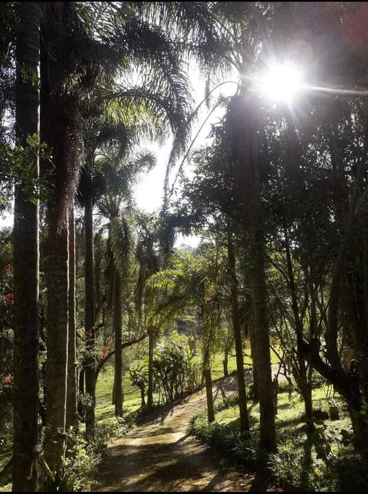 Chácara em Ibiúna Ideal para Sua Família - Foto 13