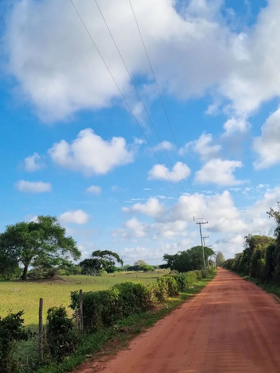 Foto - São João da Barra - 