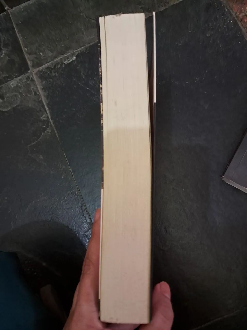 Livro Fruto do ventre - Foto 2