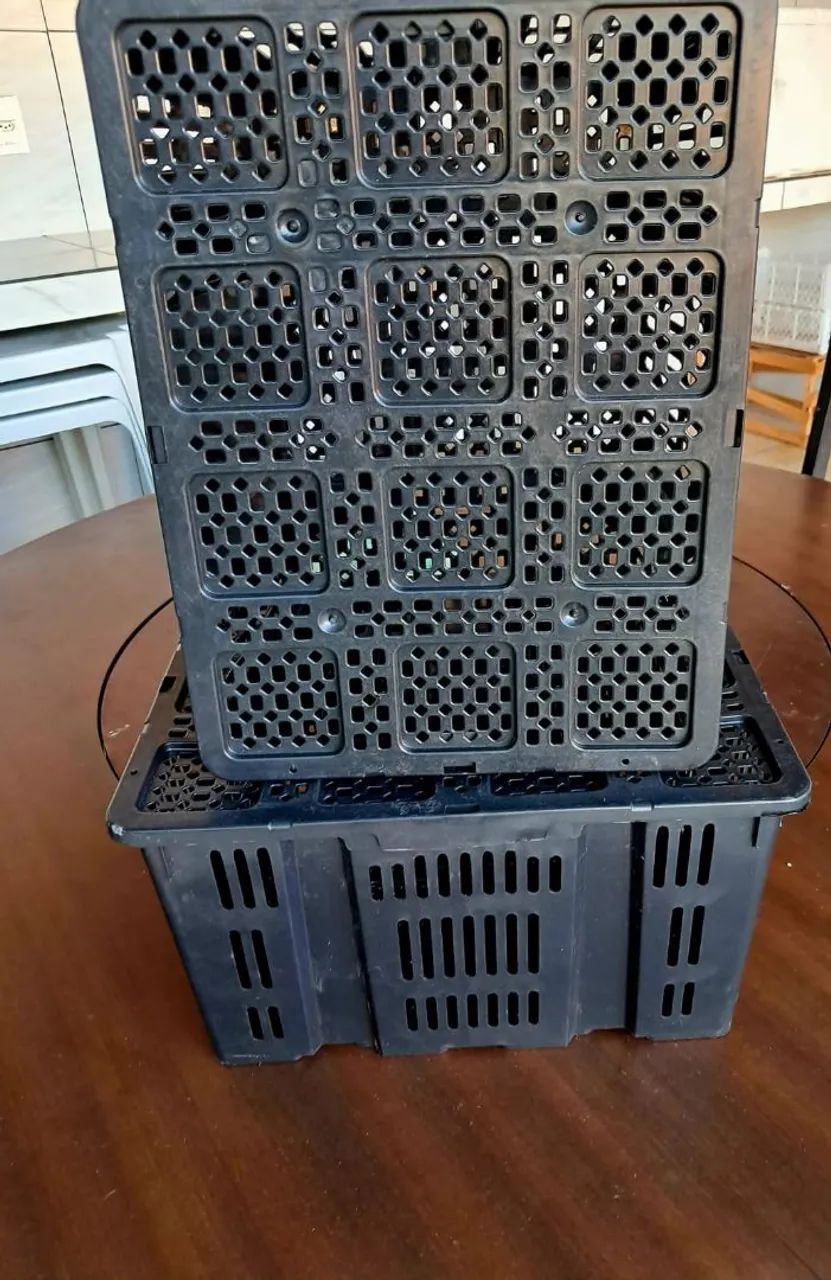 Caixas Plásticas Agrícolas Empilháveis... Contato * - Foto 6