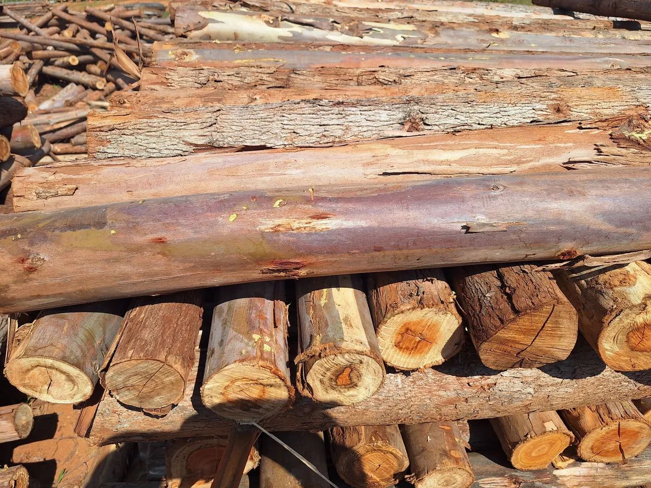 Estacas de elcalipto  com 2,20  - Foto 3