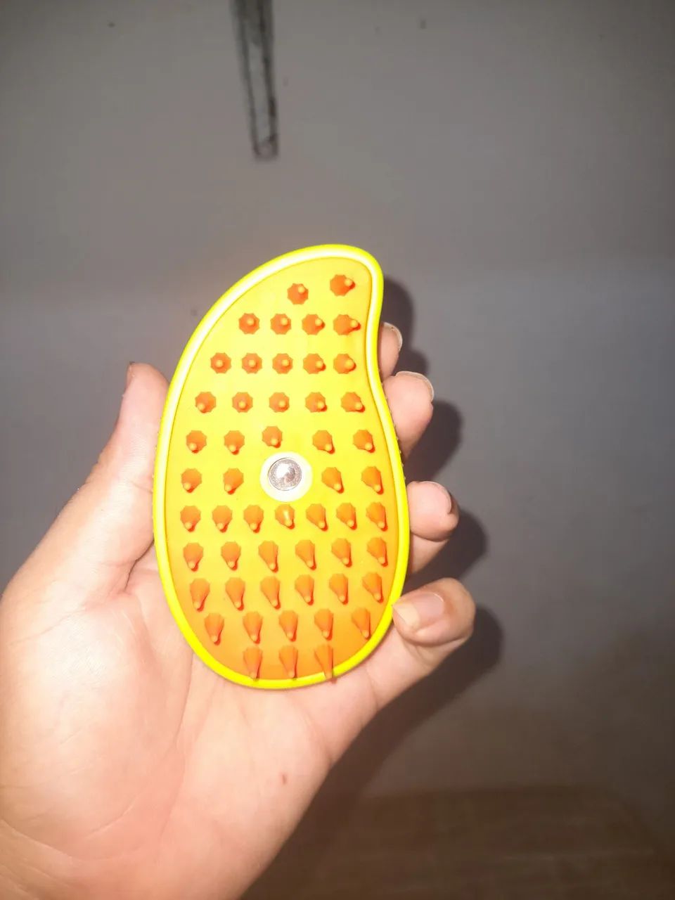 Escova a vapor limpa pelos