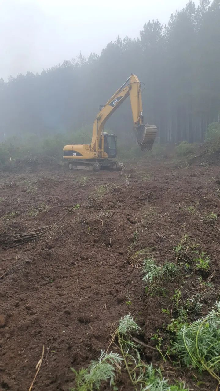cat 320  - Foto 4