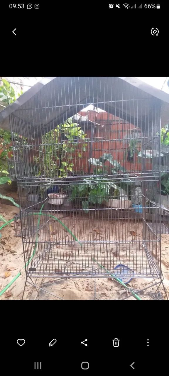 Viveiro grande  - Foto 2