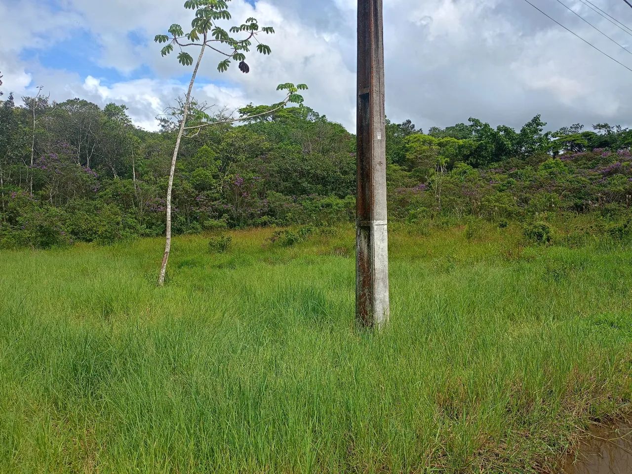 Terreno em Itanhaém 5x50 Abaixo do preço  - Foto 2