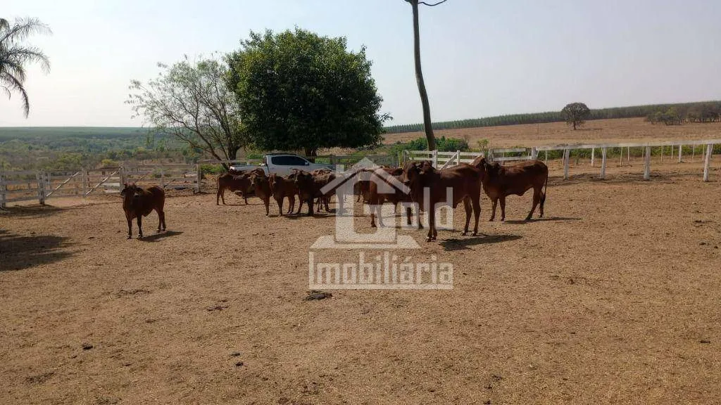 Fazenda à venda, com 133 Alqueires por R$ 15.295.000 - Zona Rural - Inocência/MS