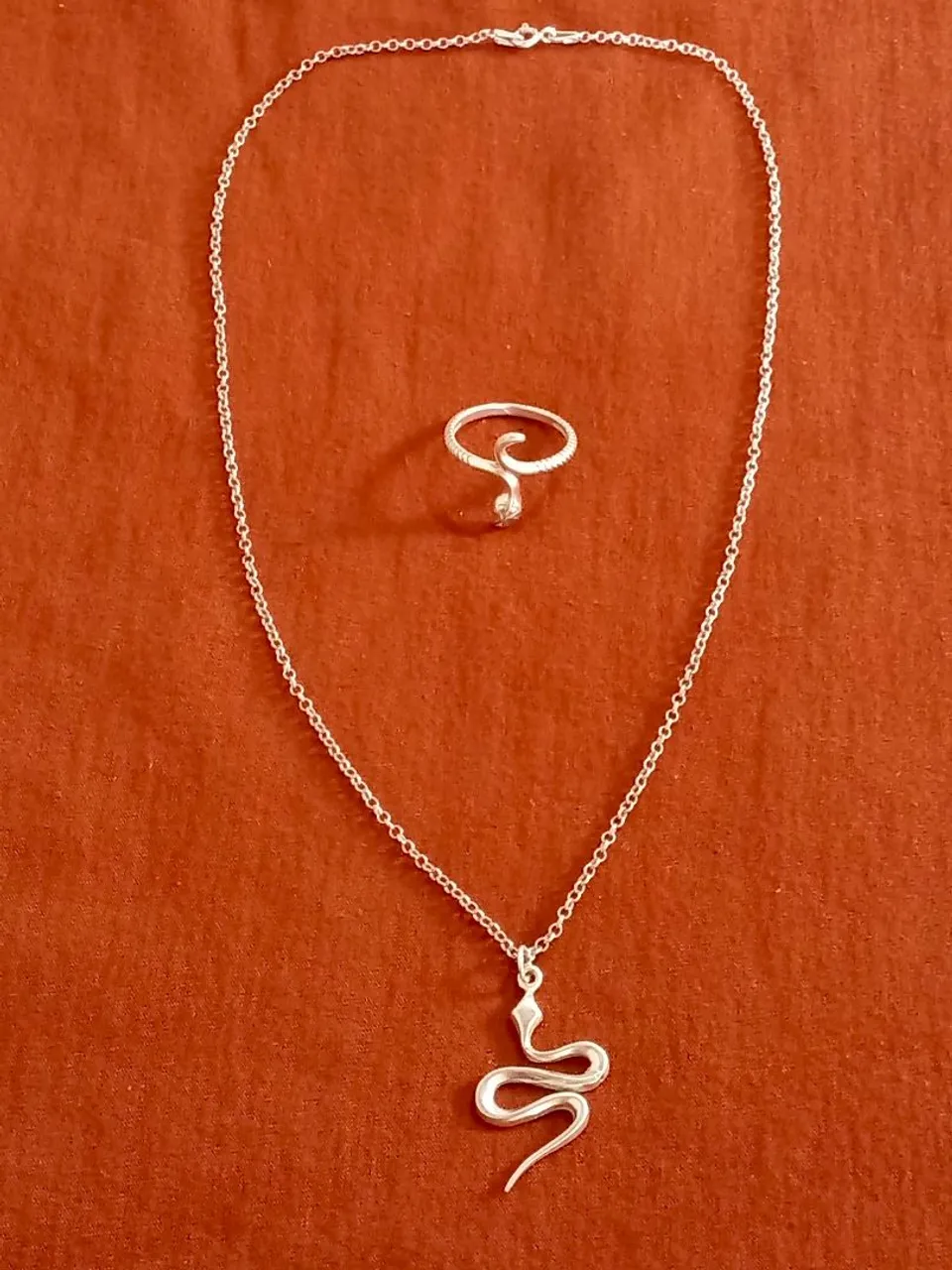 Conjunto de colar e anel de cobra em prata