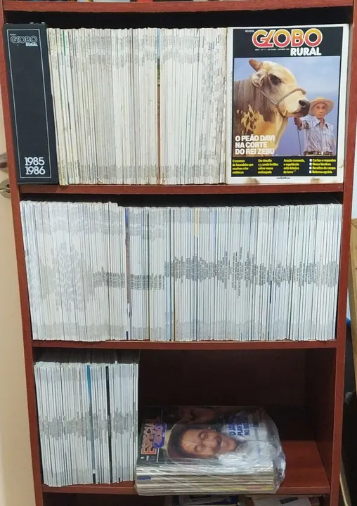 Coleção de revistas Globo Rural 1985 