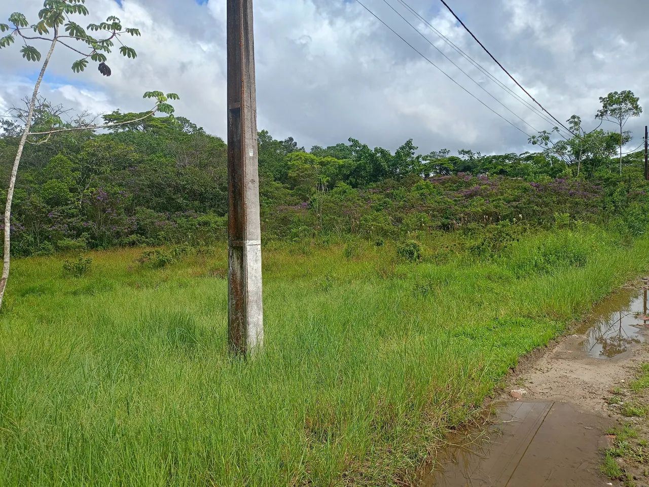 Terreno em Itanhaém 5x50 Abaixo do preço 