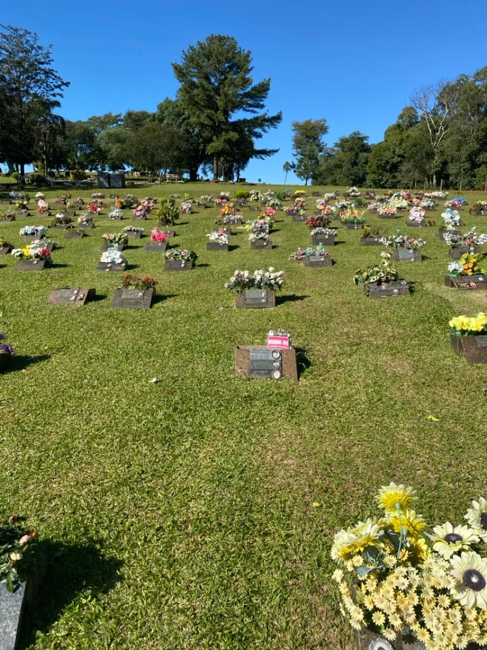 Jazigo jardim do Éden Chapecó