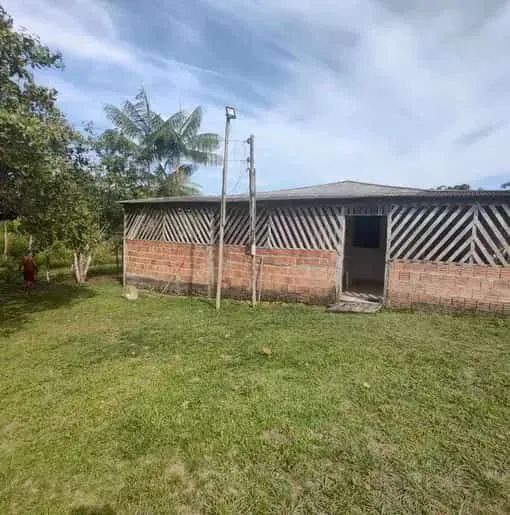 foto - Manaus - Novo Israel