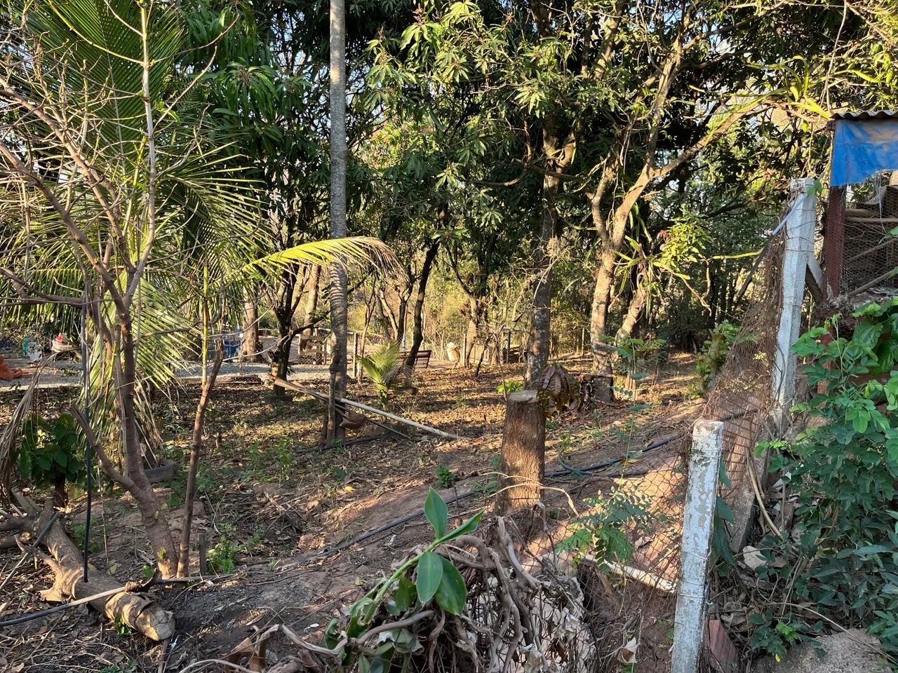 Primeira imagem do imóvel