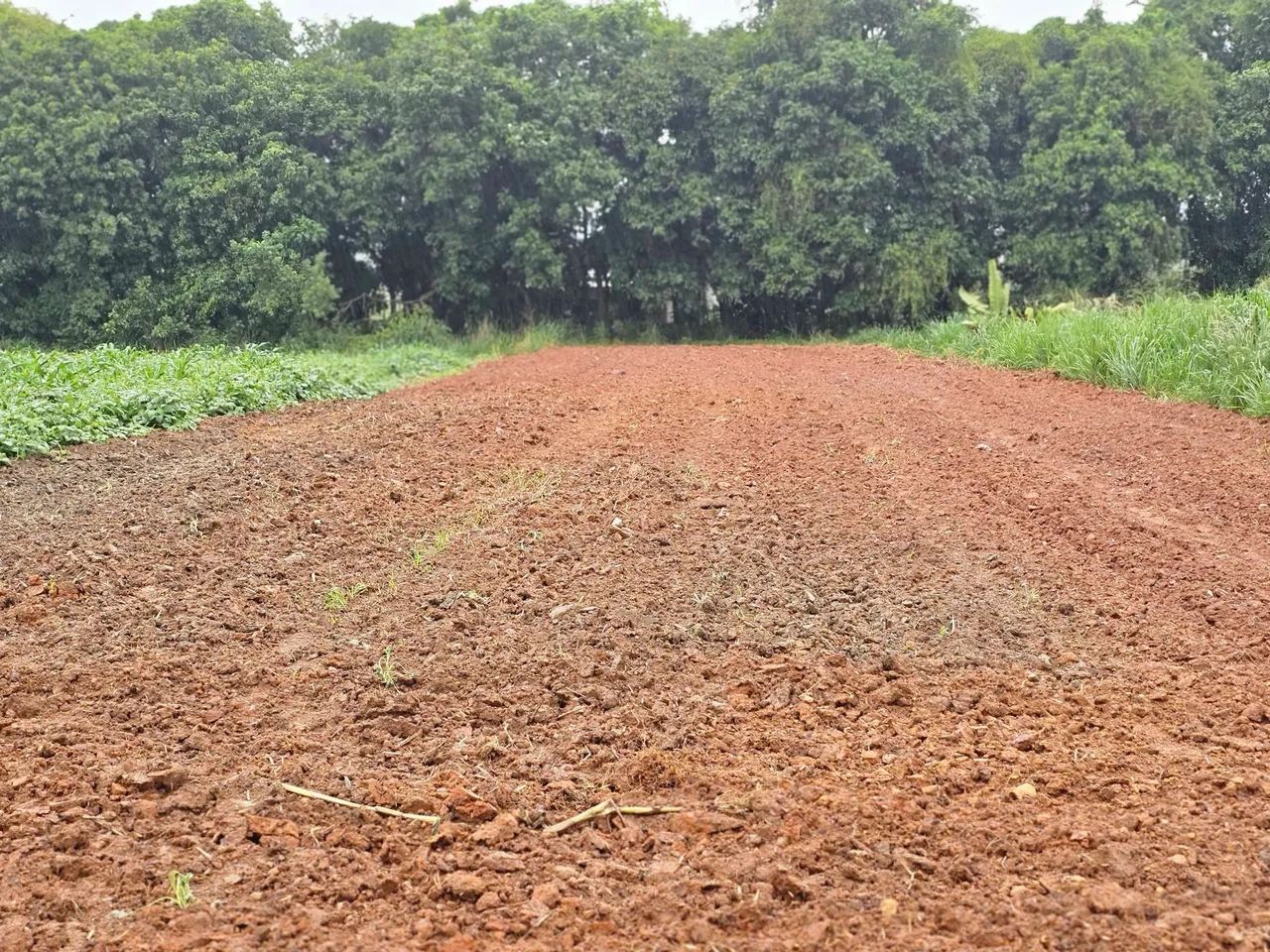 Foto - Cachoeiras de Macacu - 