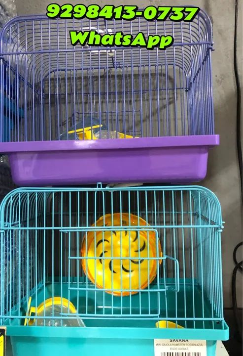 Gaiola mini para Anão russo ou topolino 