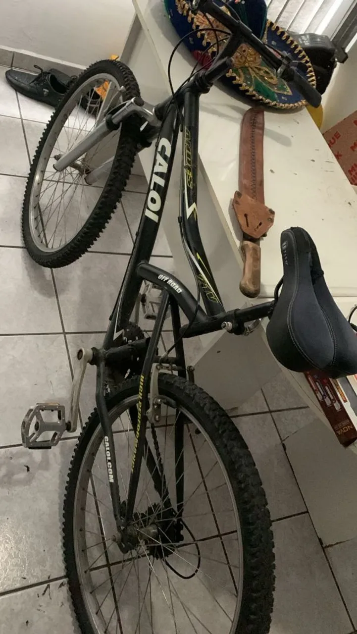 Bicicleta Caloi Andes Aro 26