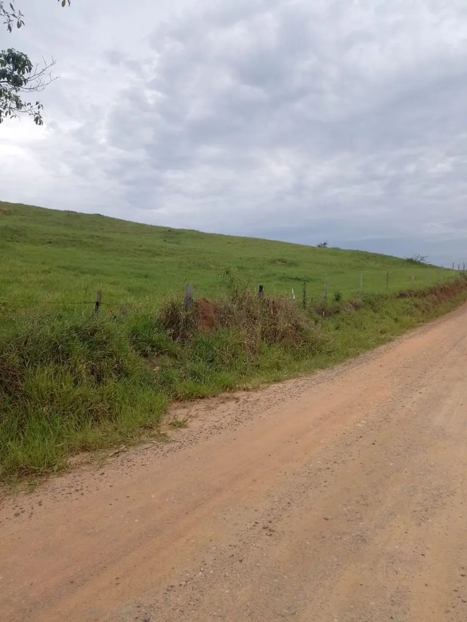 Vendo Chácara em Canas  - Foto 3