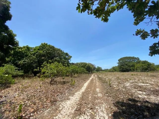 Vende-se Sítio em Pindoretama-CE - Foto 5
