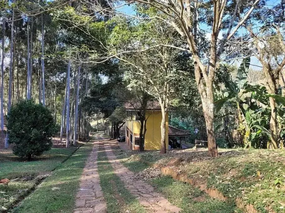 Fazenda com plantação de eucaliptos em Brasopolis MG - Foto 5