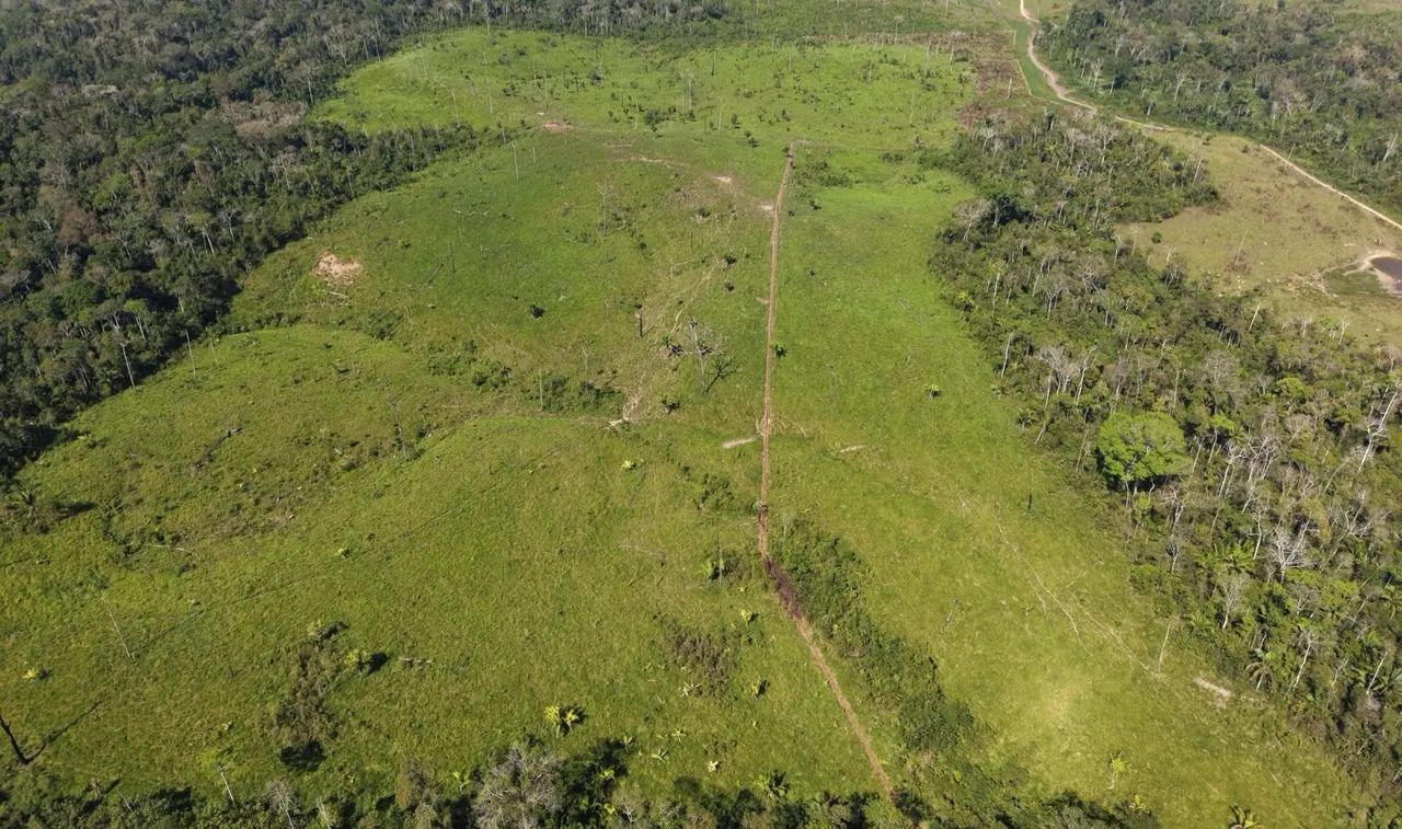 TERRA À VENDA EM FEIJÓ 