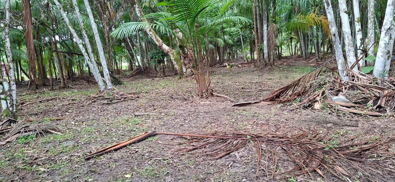 Terreno a venda em Benevides  - Foto 2