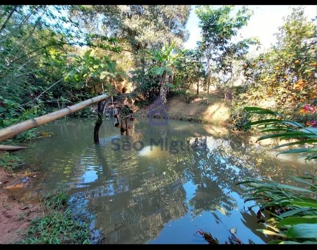 Chácara Com Tanque de Peixes  - Foto 4