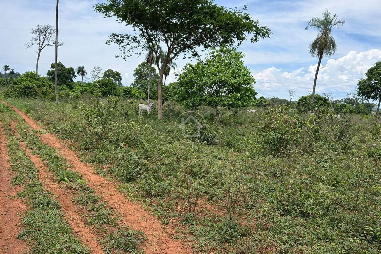 FAZENDA PARA CRIAÇÃO DE GADO -117 HA - ROCHEDO/MS - Foto 3