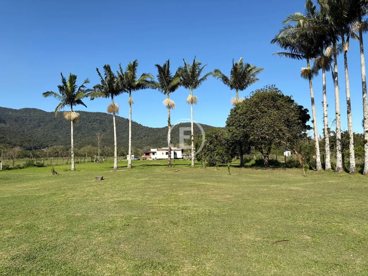 Sítio 9000m² - Prado de Baixo - Foto 5