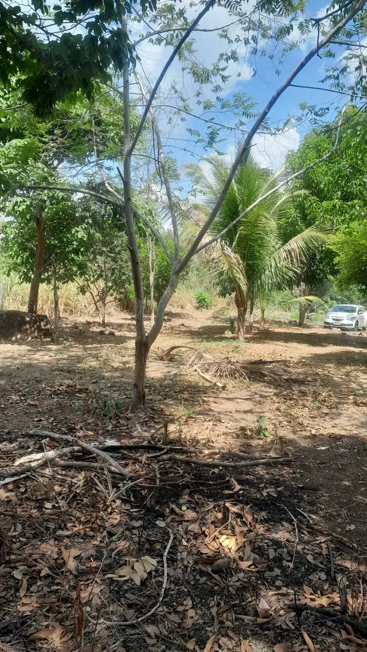 Chácara  - Foto 2