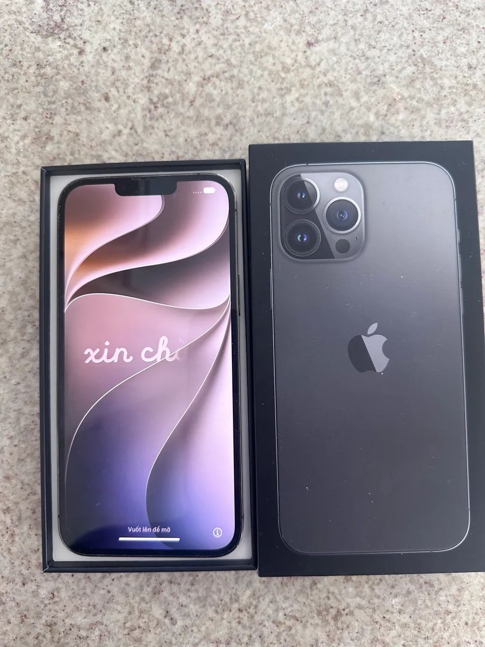 iPhone 13 Pro Max