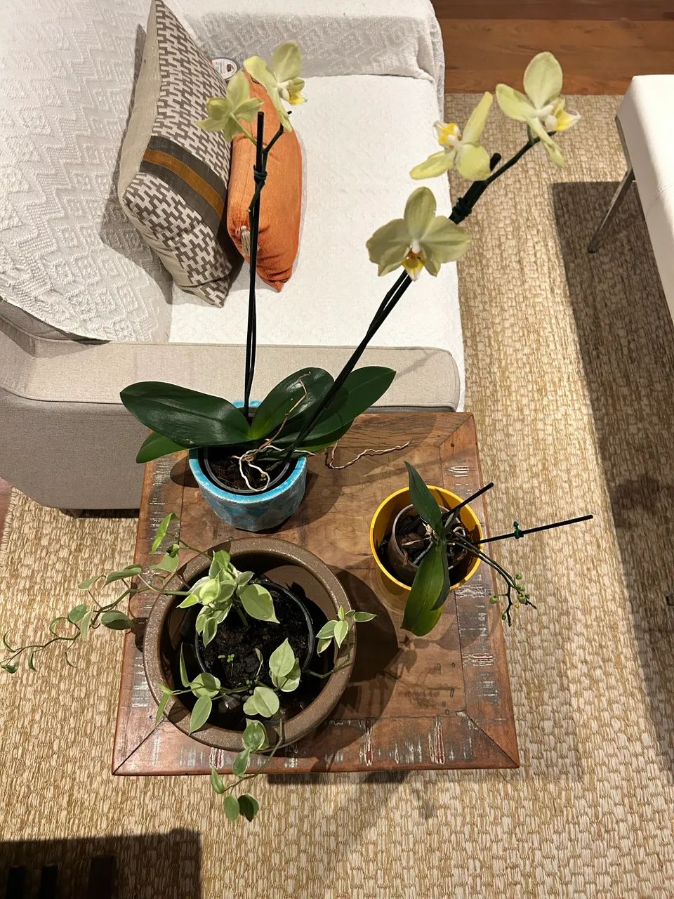 Mesa lateral madeira de demolição mede 0,50 x 0,50 x 0,60 altura - Foto 3