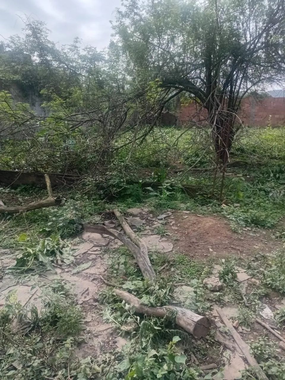 Terreno com área de 750 metros todo murado - Foto 4
