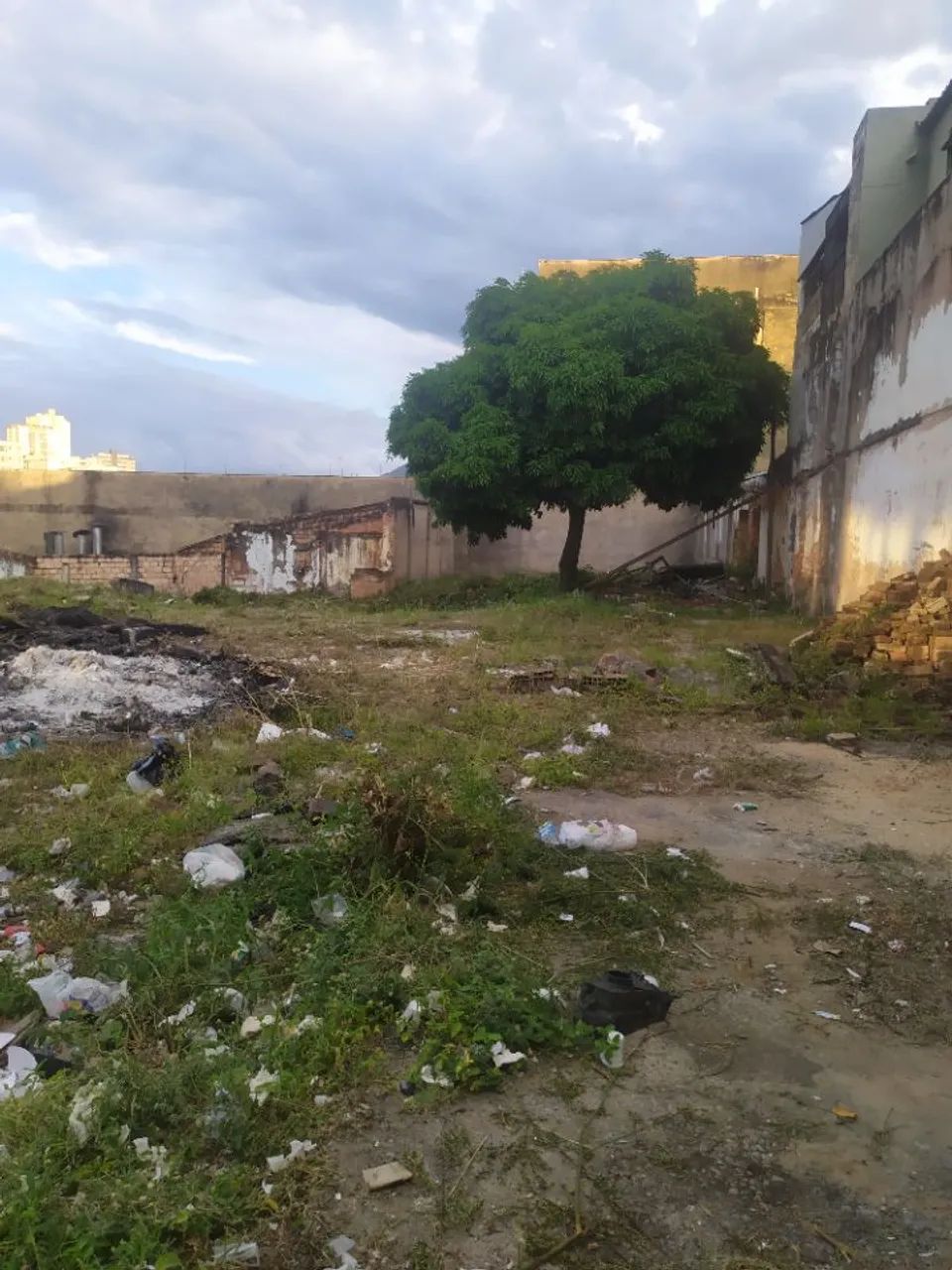 Terreno / Área Bairro Lagoinha - Foto 2